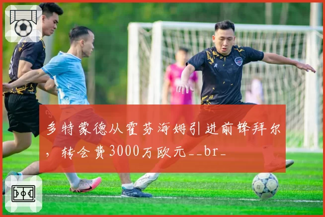 多特蒙德从霍芬海姆引进前锋拜尔，转会费3000万欧元__br_