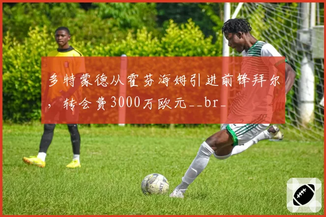 多特蒙德从霍芬海姆引进前锋拜尔，转会费3000万欧元__br_
