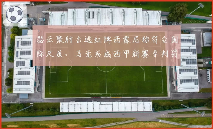 瑟云聚肘击逃红牌西蒙尼称符合国际尺度,马竞或成西甲新赛季判罚风向标测试员