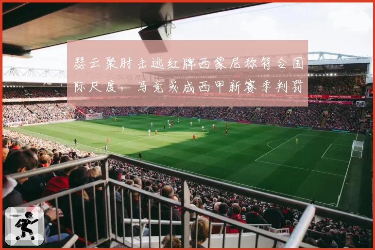 瑟云聚肘击逃红牌西蒙尼称符合国际尺度,马竞或成西甲新赛季判罚风向标测试员